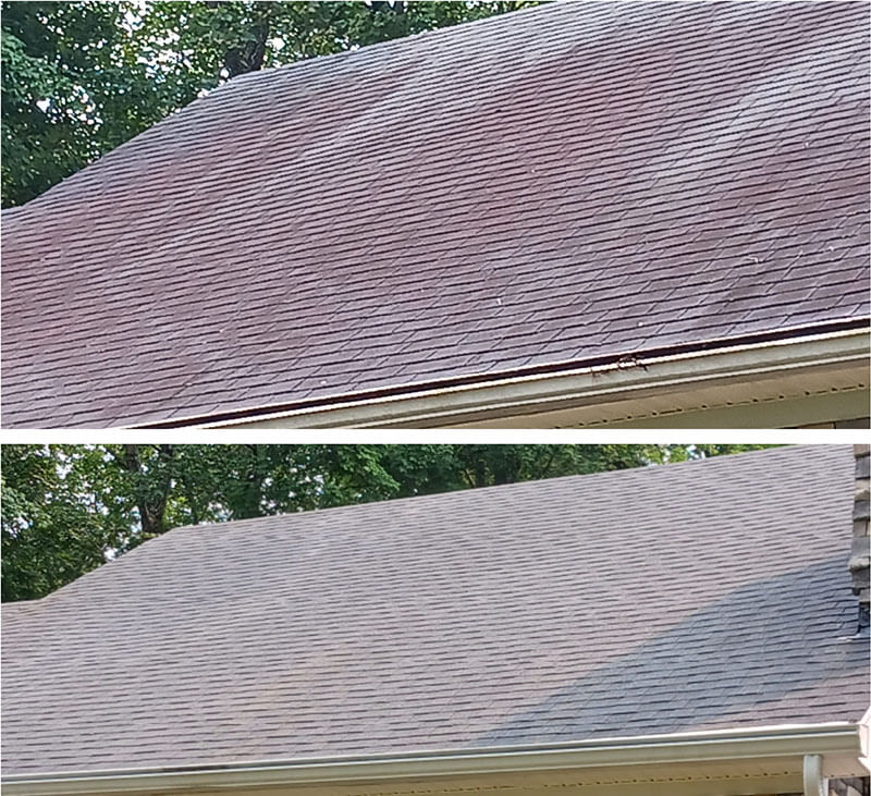 Preventive ways to avoid algae on roof shingles
