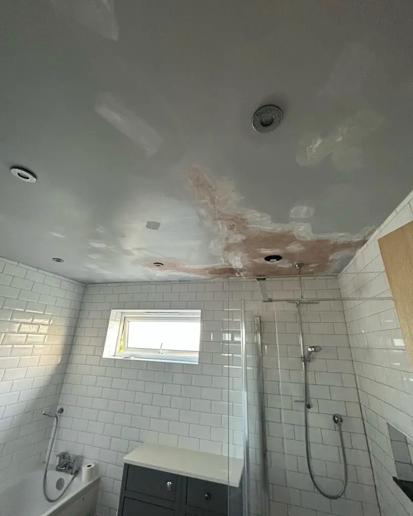 reasons why you can’t use the shower of an unpainted bathroom